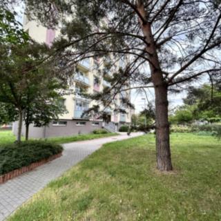 Prodej bytu 2+kk 48 m² Pardubice Studánka, Jana Zajíce