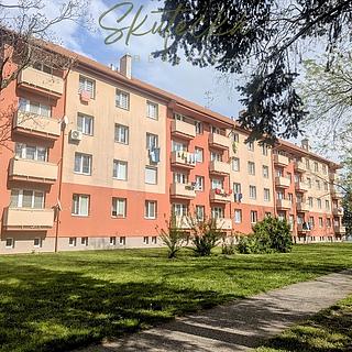 Prodej bytu 2+1 56 m² Hodonín, Lipová alej