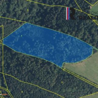 Prodej lesa 28 961 m² Velké Losiny
