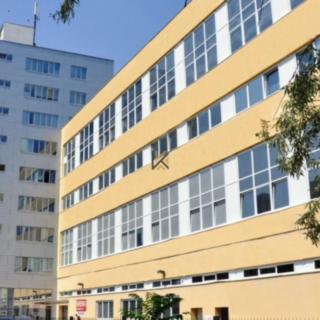 Pronájem obchodu 240 m² Praha Holešovice, Jankovcova