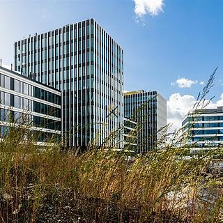 Pronájem kanceláře 44 m² Praha Holešovice, Partyzánská