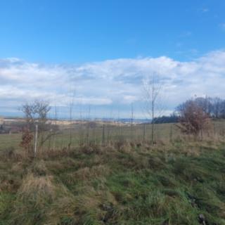 Prodej stavební parcely 1529 m² Homole