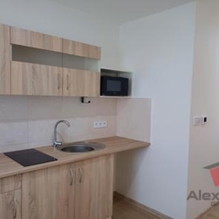 Pronájem bytu 1+kk a garsoniéry 24 m² Čelákovice Záluží