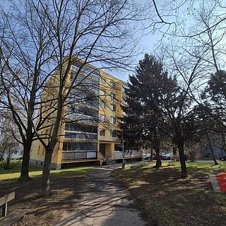 Pronájem bytu 3+1 65 m&sup2; Praha