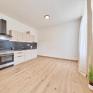 Prodej bytu 2+kk 45 m² Trutnov Horní Staré Město, Horská