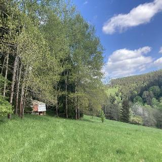 Prodej louky 24227 m² Staré Buky