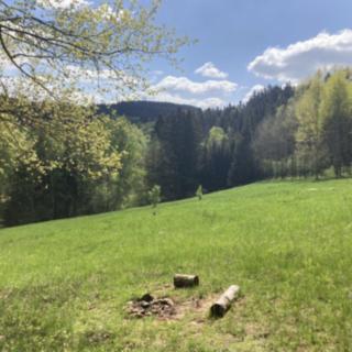 Prodej louky 24 227 m² Staré Buky Prostřední