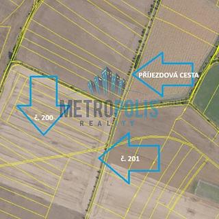 Prodej zemědělské půdy 10 380 m² Sudovo Hlavno