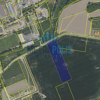 Prodej zemědělské půdy 10 065 m² Lešany