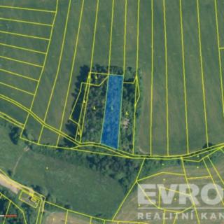 Prodej lesa 2 730 m² Kramolín