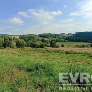 Prodej louky 349500 m² Přimda