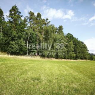 Prodej zemědělské půdy 27446 m² Nový Knín