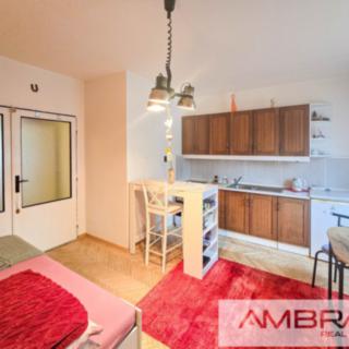 Prodej bytu 1+kk a garsoniéry 23 m² Orlová Lutyně, Masarykova třída
