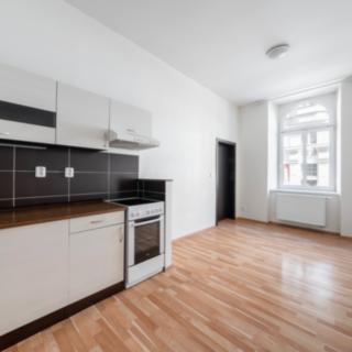 Pronájem bytu 1+1 36 m² Plzeň