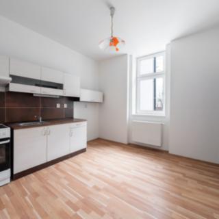 Pronájem bytu 1+1 38 m² Plzeň