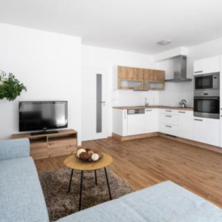 Prodej bytu 2+kk 61 m² Plzeň Jižní Předměstí, Na Jíkalce