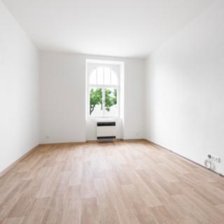 Pronájem bytu 1+1 48 m² Plzeň