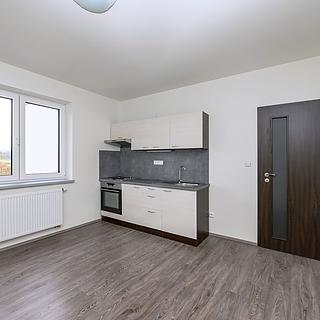 Pronájem bytu 1+kk a garsoniéry 22 m² Plzeň Jižní Předměstí, Plovární
