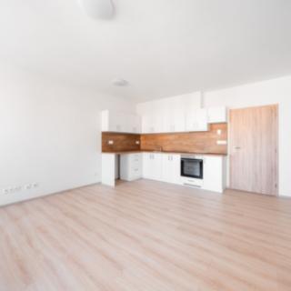Pronájem bytu 1+kk, garsoniery 32 m² Plzeň