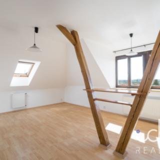 Pronájem bytu 2+kk 55 m² Plzeň Východní Předměstí, Olšová