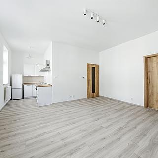 Pronájem bytu 2+kk 45 m&sup2; Plzeň