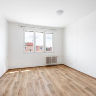 Pronájem bytu 1+kk a garsoniéry 20 m² Plzeň Doudlevce, Heyrovského