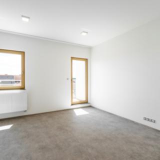 Pronájem bytu 1+1 45 m² Plzeň