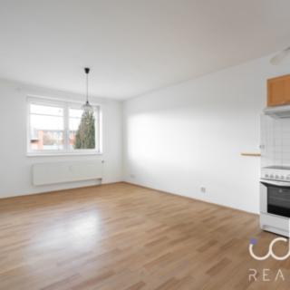 Pronájem bytu 1+kk a garsoniéry 32 m² Plzeň Východní Předměstí, Květná