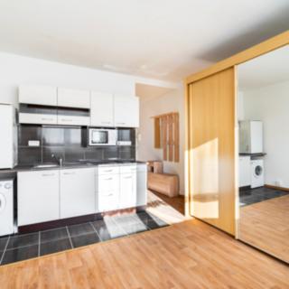 Pronájem bytu 1+kk, garsoniery 21 m² Plzeň