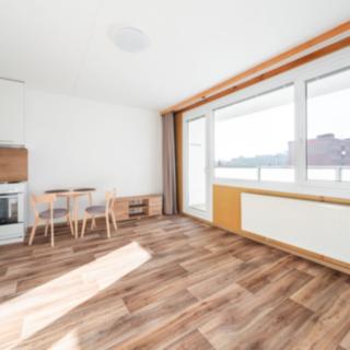 Pronájem bytu 1+kk, garsoniery 27 m² Plzeň