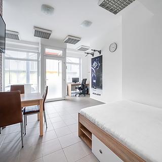 Pronájem obchodu 40 m² Plzeň Jižní Předměstí, Černická