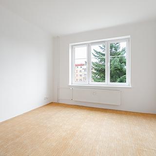 Pronájem bytu 1+1 55 m&sup2; Plzeň