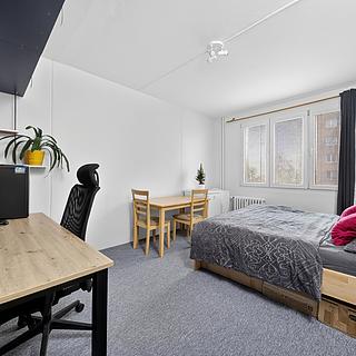 Prodej bytu 1+1 36 m&sup2; Plzeň