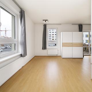 Pronájem bytu 1+kk, garsoniery 30 m&sup2; Plzeň