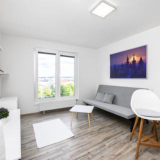 Pronájem bytu 1+kk, garsoniery 29 m² Plzeň