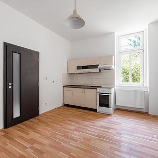 Pronájem bytu 1+kk, garsoniery 23 m&sup2; Plzeň