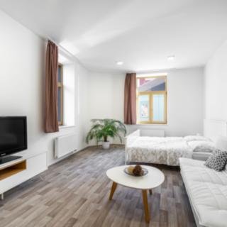 Pronájem bytu 1+1 44 m² Plzeň