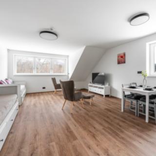 Prodej bytu 1+kk, garsoniery 49 m² Železná Ruda