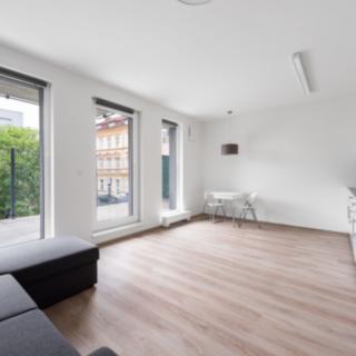Pronájem bytu 1+kk, garsoniery 36 m² Plzeň