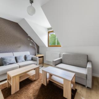 Prodej bytu 2+1 47 m² Železná Ruda, Sklářská
