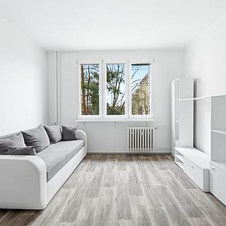 Pronájem bytu 1+1 36 m&sup2; Plzeň