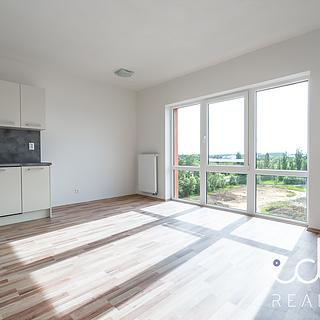 Pronájem bytu 2+kk 45 m² Plzeň Jižní Předměstí, U Borských kasáren