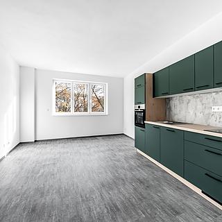 Pronájem bytu 2+kk 58 m² Plzeň Doudlevce, Malostranská