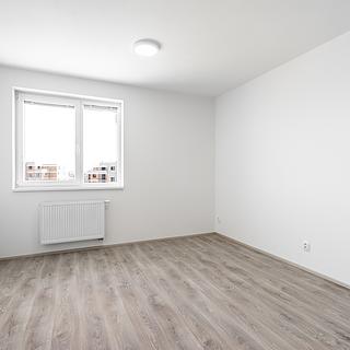 Pronájem bytu 1+kk a garsoniéry 27 m² Plzeň Jižní Předměstí, Technická