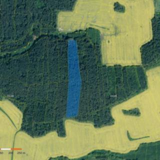 Prodej lesa 23 686 m² Mečichov
