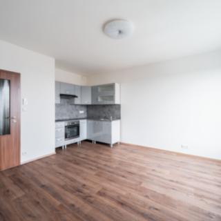 Pronájem bytu 1+kk a garsoniéry 29 m² Plzeň Jižní Předměstí, Nemocniční