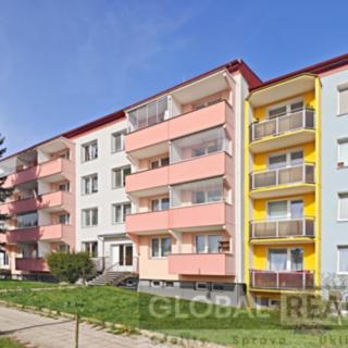 Pronájem bytu 1+1 33 m² Jihlava, Slavíčkova