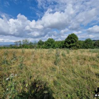 Prodej louky 17 555 m² Lužice