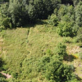 Prodej stavební parcely 4984 m² Zlaté Hory