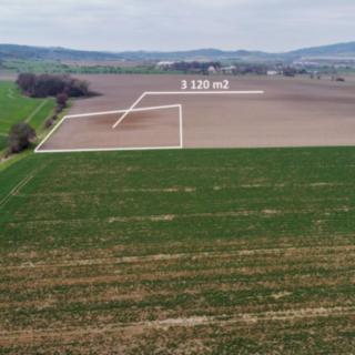 Prodej zemědělské půdy 3 120 m² Podhradí Čejkovice